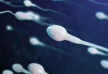 Bacterias en el semen reducen las probabilidades de lograr un embarazo