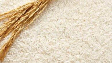 Productores de arroz solicitan precio de US$0,64 por kilo a nivel de productores