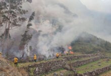 Incendio forestal en el Santuario Histórico de Machu Picchu afecta 1,5 hectáreas de bosque primario