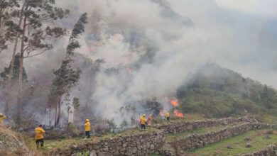 Incendio forestal en el Santuario Histórico de Machu Picchu afecta 1,5 hectáreas de bosque primario