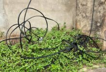 Vecinos de La Pica denuncian ola de robos de cableado durante los apagones