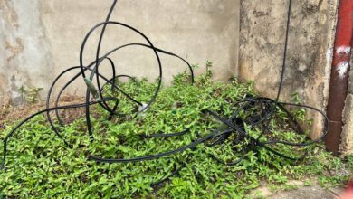 Vecinos de La Pica denuncian ola de robos de cableado durante los apagones