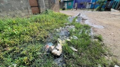 Desborde de aguas servidas tiene atormentados a vecinos en Los Guaros