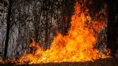 Voraces incendios forestales consumen más de 1.500 hectáreas en Colombia