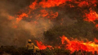 Más de 900 efectivos combaten un incendio en el noreste de Portugal