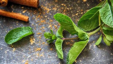 El té de menta y canela alivia la inflamación estomacal y mejora los problemas digestivos