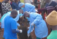 La epidemia de ébola en la RDC se intensifica y supera los 2.500 fallecidos