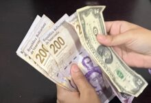 Pagan nuevo bono de la nómina especial a través de la plataforma Patria