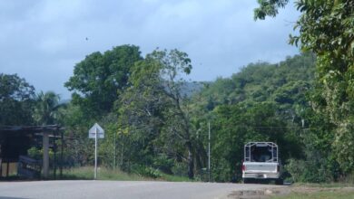 Piden plan de seguridad entre Monagas y Sucre tras aumento de robos en la Troncal 10
