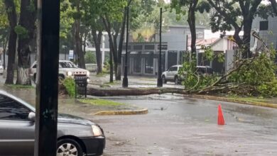 Lluvias e intensas ráfagas de viento causan caídas de árboles y afectaciones viales en Maturín