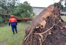 Alcaldía despliega comisiones para atender afectaciones por las lluvias en Maturín