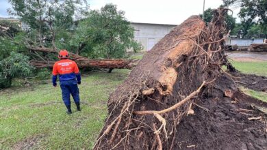 Alcaldía despliega comisiones para atender afectaciones por las lluvias en Maturín