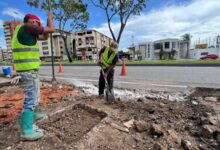 Inicia la construcción de 12 paradas de transporte en la avenida Libertador
