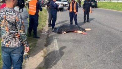 Mueren dos mujeres arrolladas en Costo Arriba: el conductor se dio a la fuga
