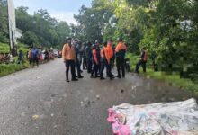 Fallece mujer tras ser arrollada en la Troncal 10 de Monagas