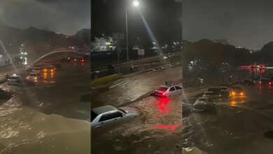 Delcy Rodríguez activa el Sistema de Protección Civil por estragos de la Onda Tropical N.° 40