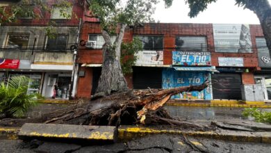 Ráfagas de viento causan cortes eléctricos y caída de árboles en Maturín tras paso de ondas tropicales