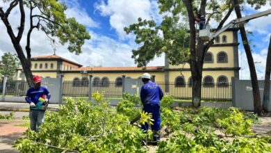 Ejecutan poda preventiva de árboles en la avenida Bolívar ante el periodo de lluvias