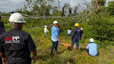 Inspeccionan trabajos para restituir el servicio eléctrico en Punceres y Bolívar
