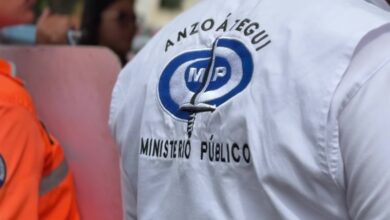 Investigan a grupo de jóvenes por maltrato animal contra un oso hormiguero