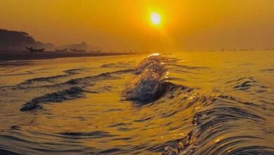 Temperatura de superficie global del mar rompe récord histórico
