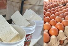 Reportan alza de precios del queso y cartón de huevos en el mercado viejo de Maturín