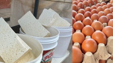 Reportan alza de precios del queso y cartón de huevos en el mercado viejo de Maturín