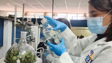 Investigadores venezolanos crean cubierta biodegradable que extiende la vida de las frutas