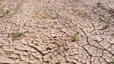 ¿Qué es el fenómeno de El Niño y cómo afecta a Venezuela?