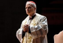 El papa León XIV pide el fin de la violencia contra la población palestina