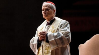 El papa León XIV pide el fin de la violencia contra la población palestina