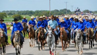 Realizan en Apure el arreo de ganado más grande de América Latina con más de 6.000 mautes