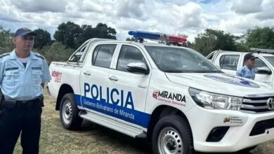 Detienen a un adolescente por intentar asesinar a su madre con un destornillador