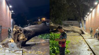 Fuerte tormenta con ráfagas de viento causa afectaciones en Caracas y los Altos Mirandinos