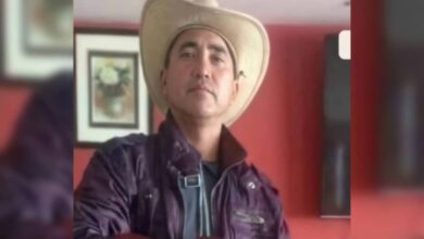 Hombre de 47 años muere tras ser atacado por un enjambre de abejas en Guárico