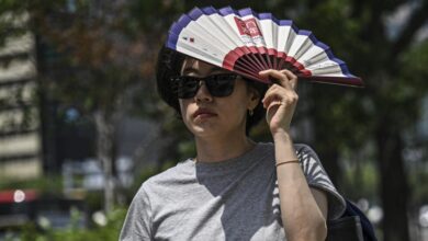 Corea del Sur registra un récord histórico de 42,5 ºC en medio de una sofocante ola de calor