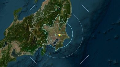 Sismo de magnitud 5,8 sacude el centro de Japón y se siente con fuerza en Tokio