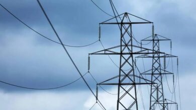 Restablecen el servicio eléctrico en sectores clave de Punceres y Bolívar