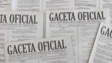 Publican en Gaceta suspensión de exportaciones de insumos de construcción hasta diciembre