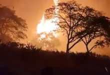 Al menos 36 incendios forestales arrasan miles de hectáreas en Colombia