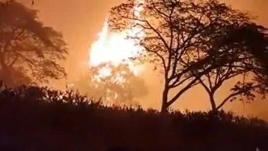 Al menos 36 incendios forestales arrasan miles de hectáreas en Colombia
