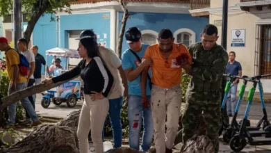 Colapso de un árbol en Cumaná deja un muerto y dos heridos