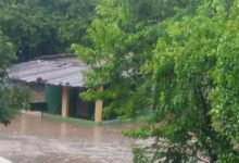 Lluvias en Cumanacoa desbordan el río Agua Blanca y afectan 17 viviendas