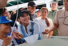 250 caballitos de mar son liberados en Mochima