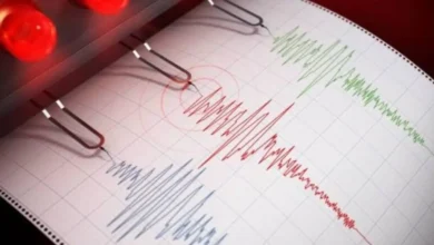 Funvisis reporta dos sismos de menor magnitud en La Guaira y Sucre sin daños materiales