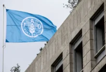 FAO: faltan fondos para asistir a 9 millones de personas ante El Niño