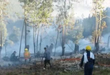 Colombia combate tres incendios forestales activos y mantiene siete bajo control