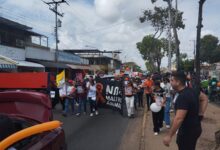 Animalistas marchan este sábado en Maturín por la Ley de Protección Animal