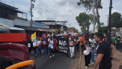 Animalistas marchan este sábado en Maturín por la Ley de Protección Animal