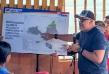 "Derecho al trabajo sin sobreexplotación": el plan del Gobierno para ordenar la pesca en Cubagua